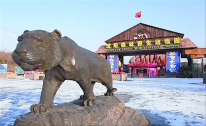 珍貴野生動物接連死亡 沈陽冰川動物園經(jīng)營不善遇冷