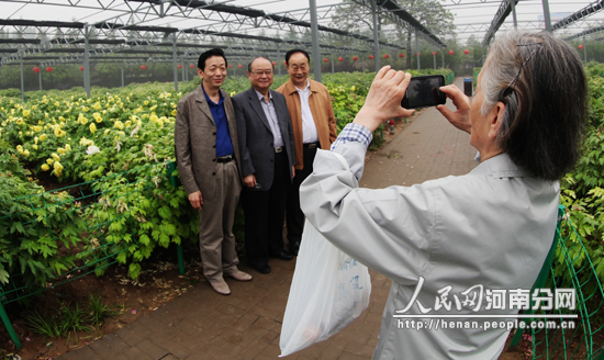 洛陽國際牡丹園進(jìn)入妁藥盛花期