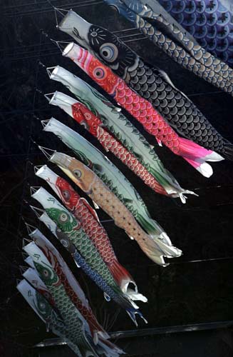 日本：鯉魚(yú)上天保佑平安