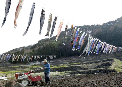 日本：鯉魚(yú)上天保佑平安