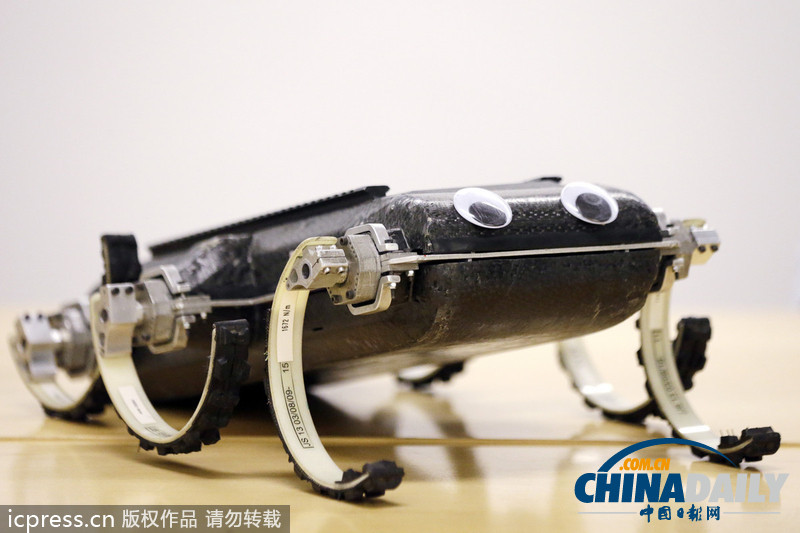 美國(guó)研發(fā)六足機(jī)器人 能跳躍爬墻空翻（圖）