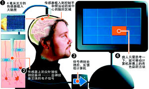 美國癱瘓男子借助電腦芯片實現(xiàn)意念移物(圖)
