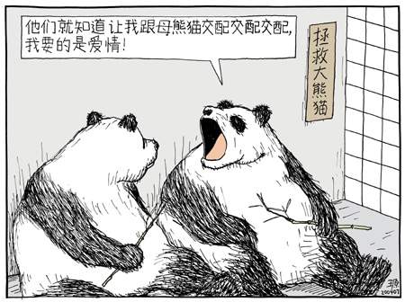 我要的是愛情