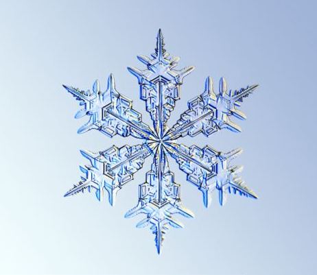 怎一個美字了得！美國科學(xué)家?guī)闶フQ看雪花(圖)