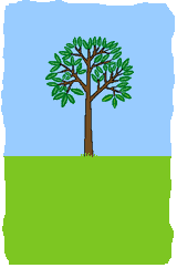 Arbor Day（植樹(shù)節(jié)）