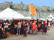 The Newport Folk Festival（紐波特民間藝術節(jié)）