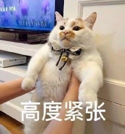 美國(guó)人有多愛(ài)夸人？居然飆車過(guò)來(lái)夸我鞋子美？？？
