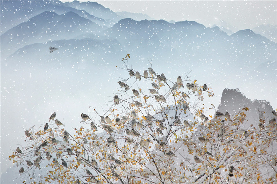 如詩(shī)如畫(huà)：“美麗中國(guó)·夢(mèng)想中國(guó)”攝影大賽優(yōu)秀作品欣賞（組圖）