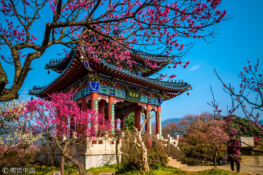 踏青季：春天盛開的9種鮮花 哪一種最美？（組圖）