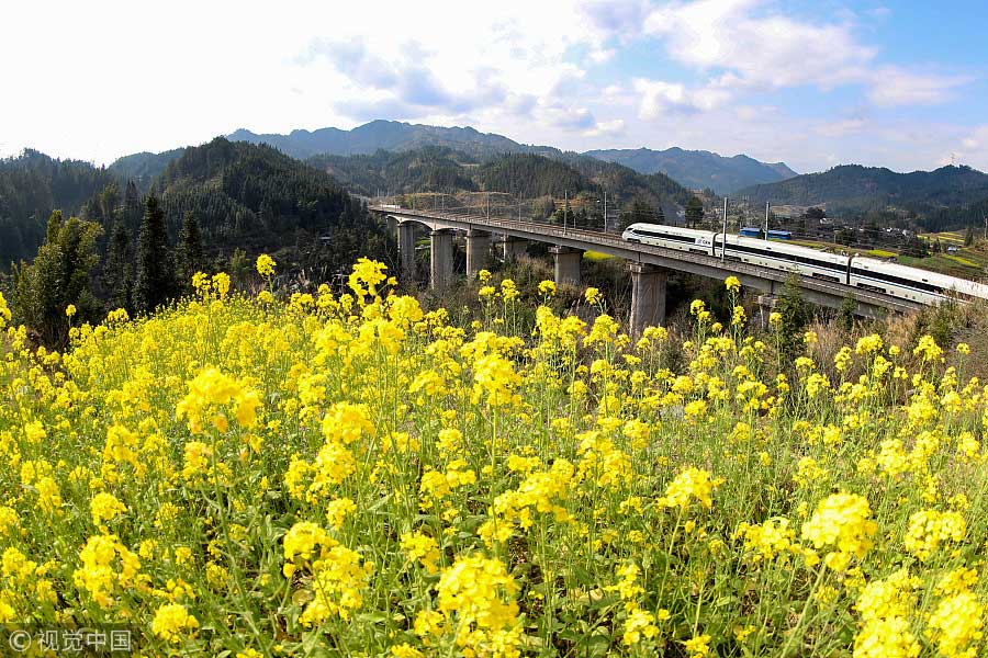 踏青季：春天盛開(kāi)的9種鮮花 哪一種最美？（組圖）