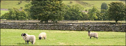 Farming in the UK 農(nóng)場(chǎng)營(yíng)作