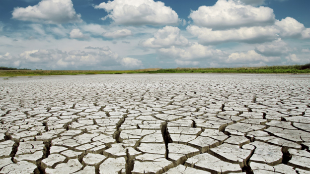 COP21: The economics behind climate change 巴黎氣候大會(huì)：氣候變化背后的經(jīng)濟(jì)變化