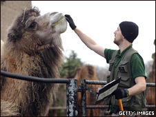 Zoo Stock Take 動(dòng)物園盤(pán)點(diǎn)