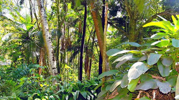 Loss of biodiversity affects human society 生物多樣性減少給人類社會帶來影響
