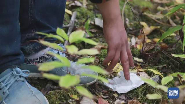 小康之路：他們曾經(jīng)是伐木人，如今卻成了護林員和藏香廠老板丨解碼中國