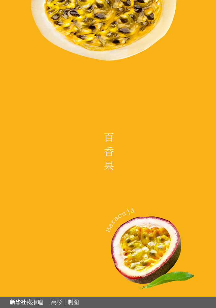 “瘋狂水果城”里約：給你點(diǎn)顏色瞧瞧！