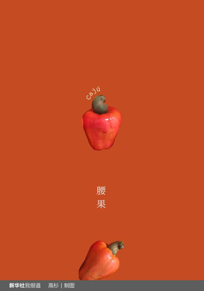 “瘋狂水果城”里約：給你點(diǎn)顏色瞧瞧！