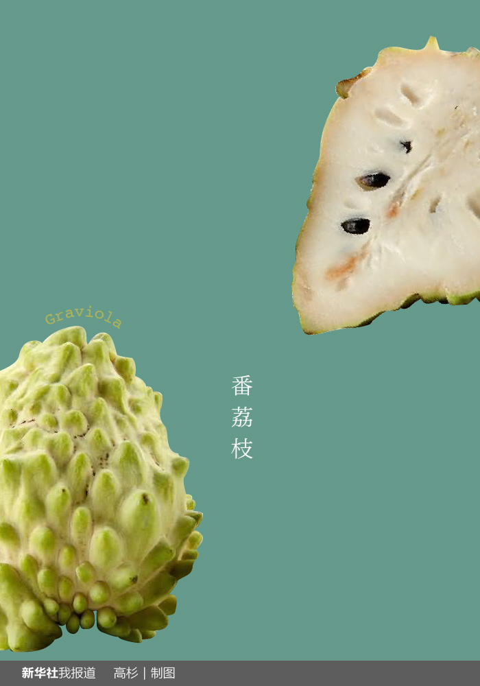 “瘋狂水果城”里約：給你點(diǎn)顏色瞧瞧！