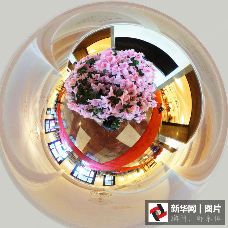 360度全景看大會(huì)堂里春花開
