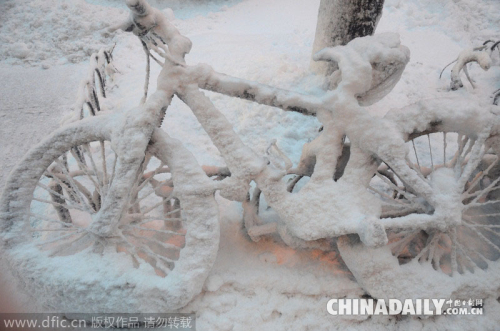 美國紐約遭遇史上最強暴風雪