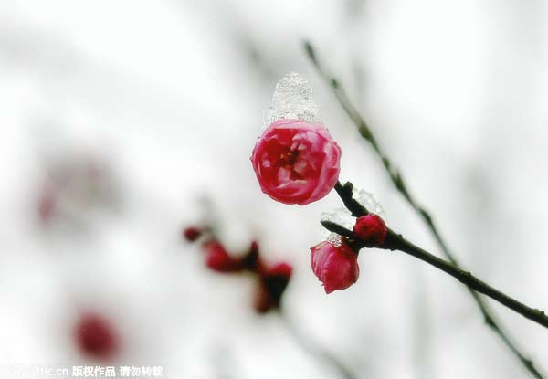 “立春”九大風(fēng)俗 雞蛋為啥能立起來(lái)？
