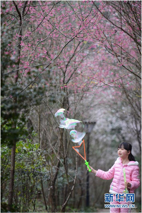 又到一年踏青時(shí) 花間春色惹人醉（組圖）