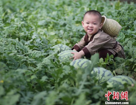 2歲萌娃吆喝自家西瓜 這個(gè)“瓜娃子”要火?。ńM圖）