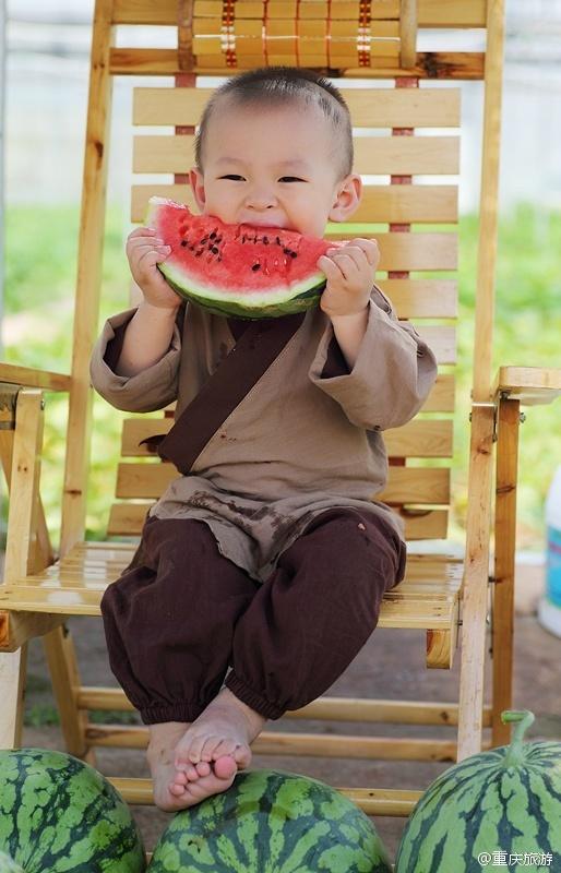 2歲萌娃吆喝自家西瓜 這個“瓜娃子”要火?。ńM圖）