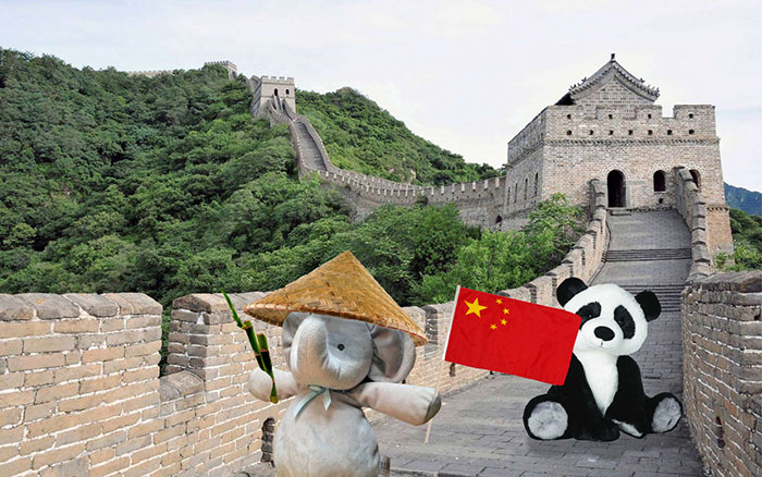 寶貝，你的小象不是丟了，而是去環(huán)游世界了（組圖）