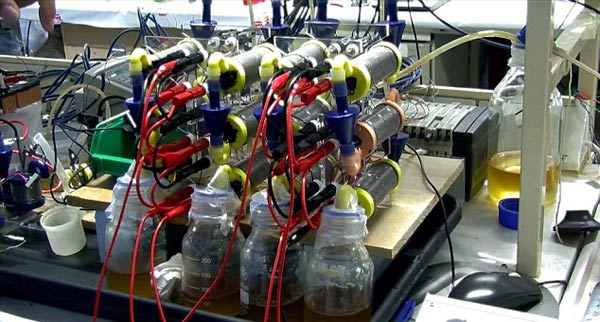 “尿液電池”問世：一泡尿可充手機(jī)3小時(shí)