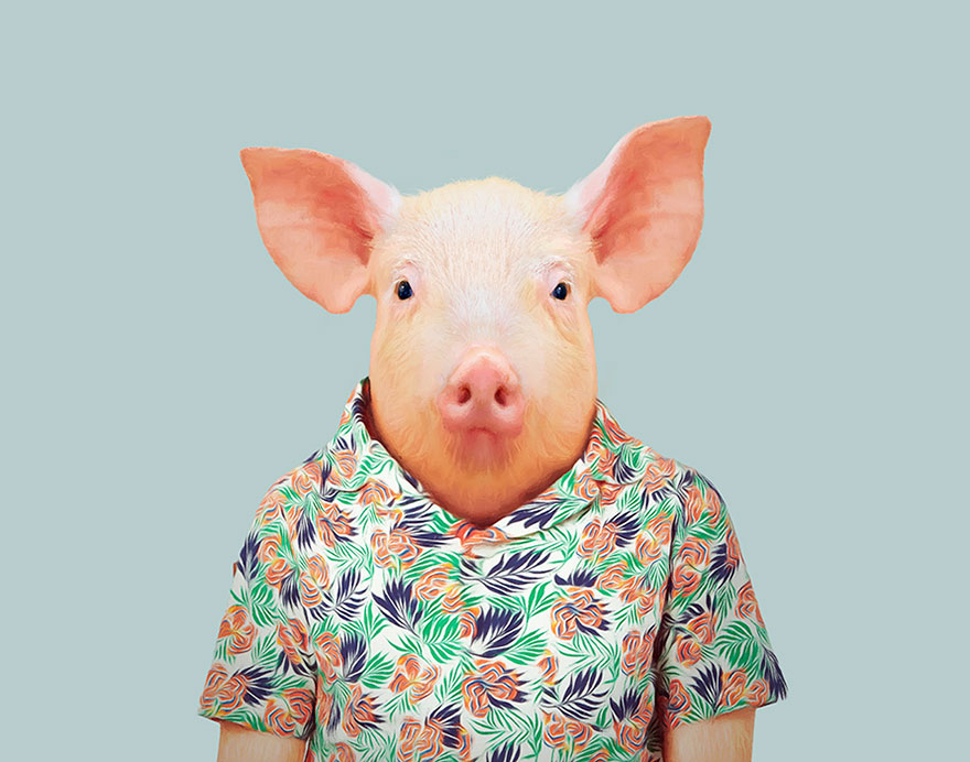 別臭美了：動物穿上衣服比你帥（組圖）