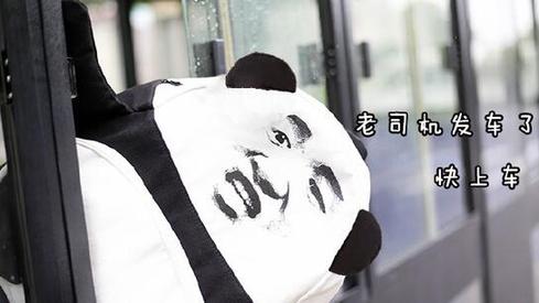 盤點：2016年度網(wǎng)絡(luò)熱詞你全懂嗎？（組圖）