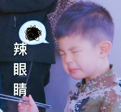 盤點：2016年度網(wǎng)絡(luò)熱詞你全懂嗎？（組圖）