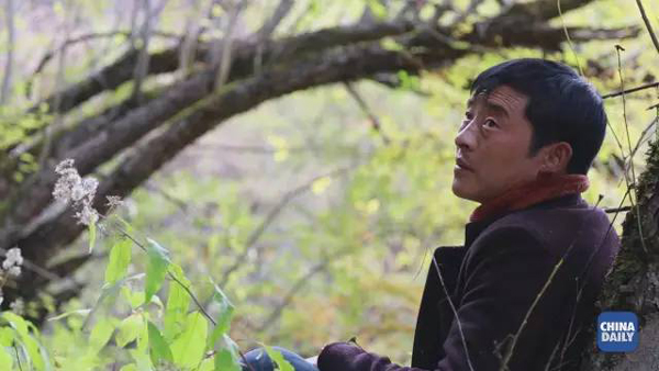 小康之路：他們?cè)?jīng)是伐木人，如今卻成了護(hù)林員和藏香廠老板丨解碼中國