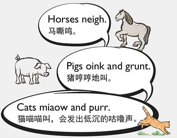 自然界中有各種聲音 如何用英語來描述動物的叫聲？