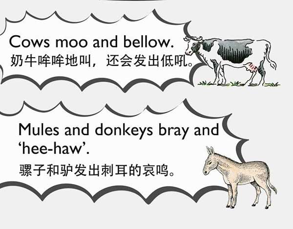 自然界中有各種聲音 如何用英語來描述動物的叫聲？