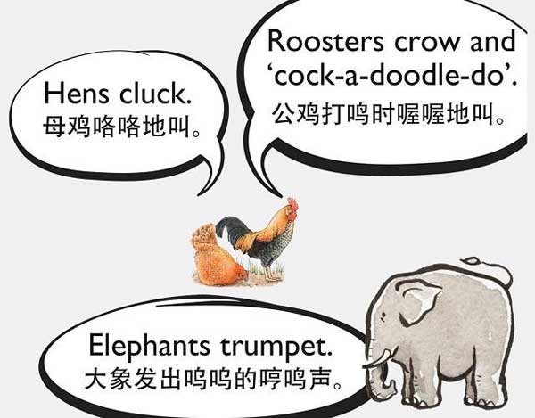 自然界中有各種聲音 如何用英語來描述動物的叫聲？