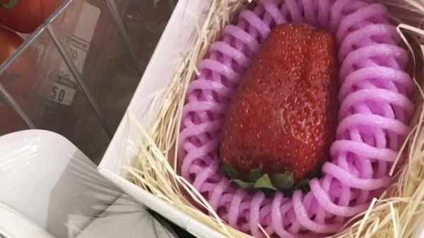 這種草莓150元一顆，一定很好吃……吧？