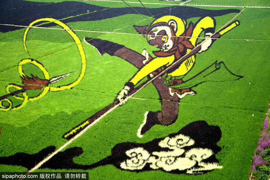 春回大地草木萌動 盤點(diǎn)那些農(nóng)田光景返樸歸真（組圖）
