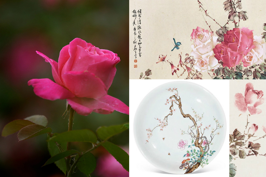 最能代表中國的10種花：你對它們了解多少（組圖）
