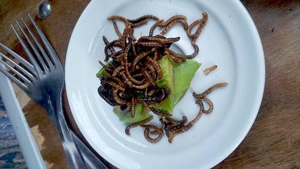 受不了臭豆腐、血腸 老外卻有更奇葩的美食