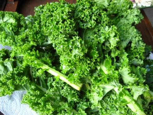 隨便吃也不用擔(dān)心長胖的14種食物