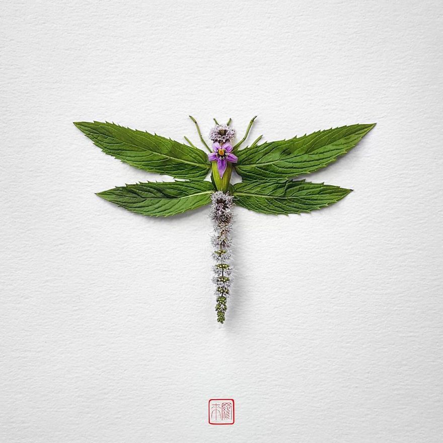你怕蟲(chóng)子嗎？來(lái)看看這些用花瓣做成的蟲(chóng)子（組圖）