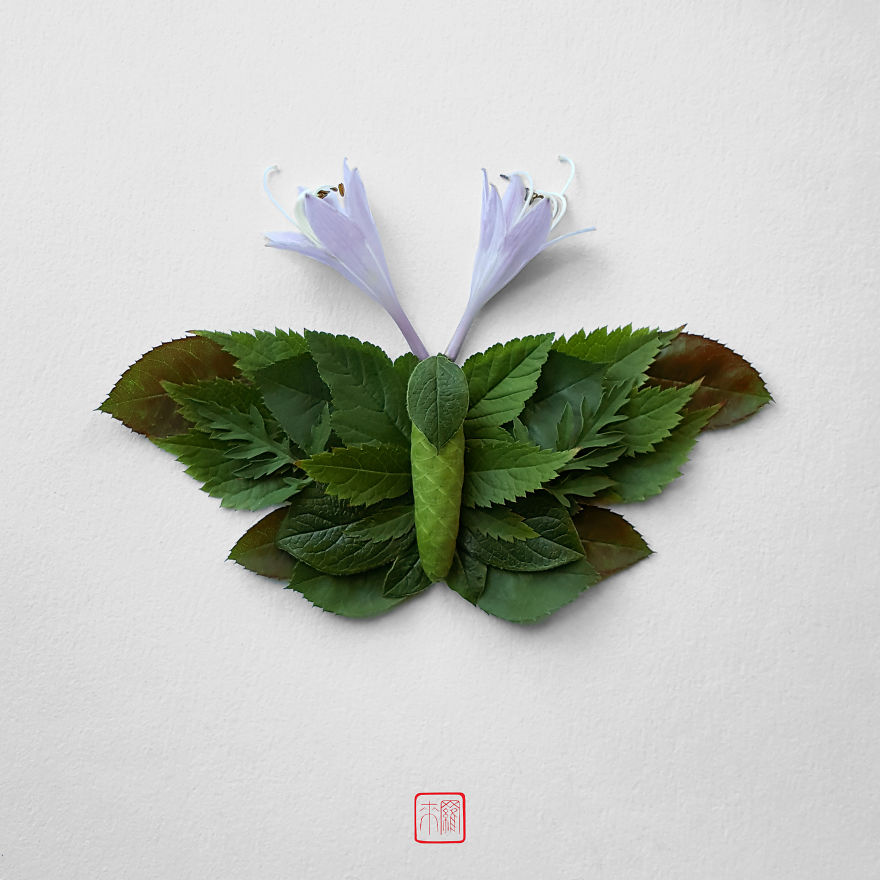 你怕蟲子嗎？來看看這些用花瓣做成的蟲子（組圖）