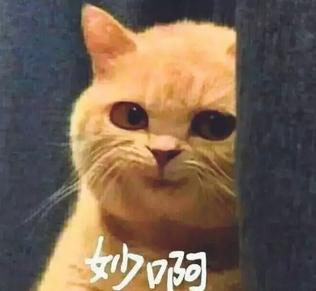 揭秘各國兵哥哥的野戰(zhàn)口糧！看到韓國的，忍不住笑出了聲…