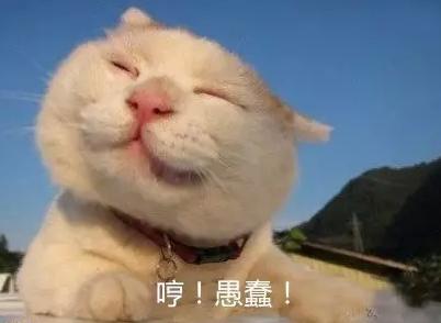 萬萬沒想到！七個讓你驚呼“厲害了”的冷知識