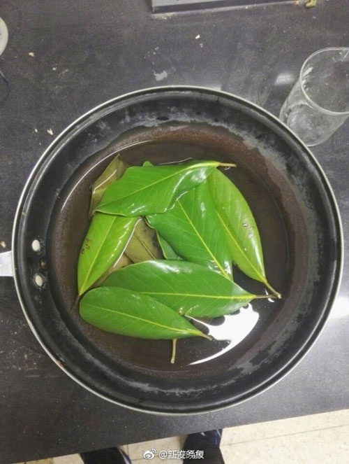 6000片樹葉做出美裙 原來他們是這么做到的！