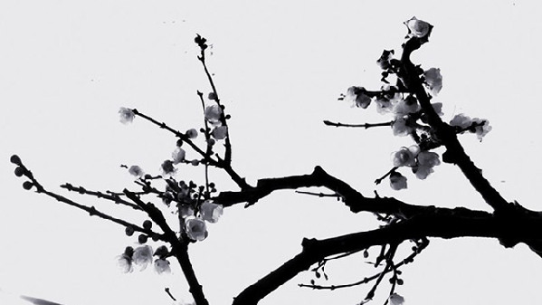 翻譯輕重“神”在先，古典翻譯為今人