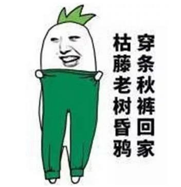 秋冬御寒指南：秋褲穿不穿，這是個(gè)問(wèn)題