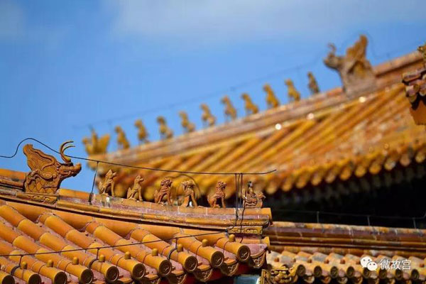 習(xí)近平特朗普同游故宮！那些讓特朗普驚嘆的殿、樓、齋，用英文怎么說(shuō)？